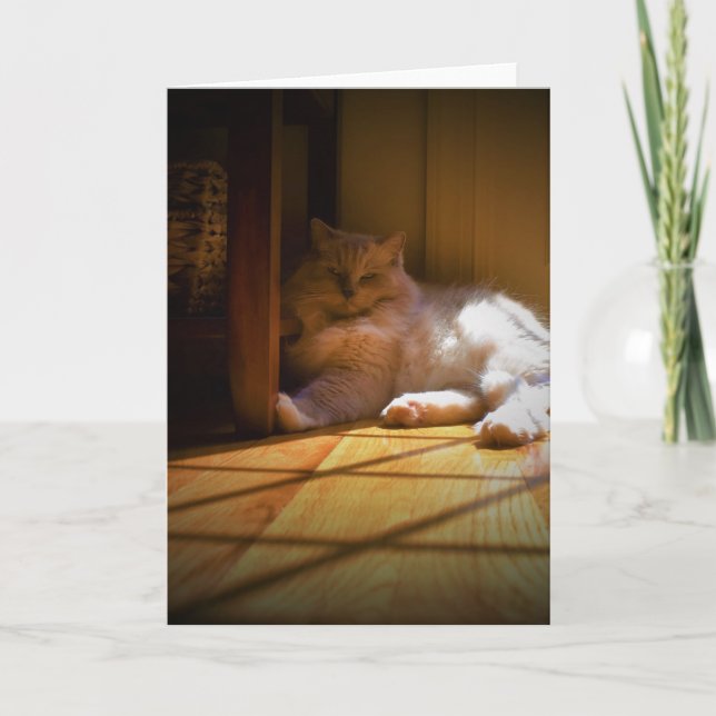 Dias Lentos, cartão (Frente)