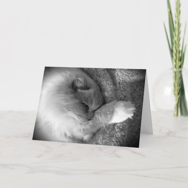 Dias Lentos, cartão (Frente)