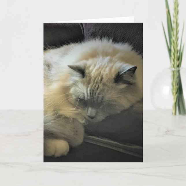 Dias Lentos, cartão (Frente)