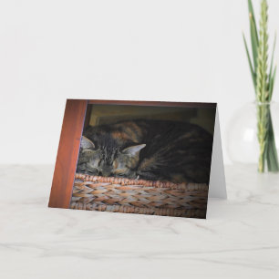 Dias Lentos, cartão