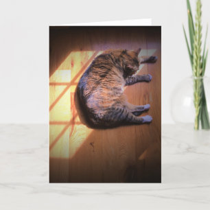 Dias Lentos, cartão