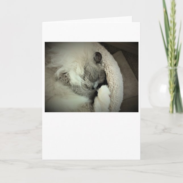 Dias Lentos, cartão (Frente)