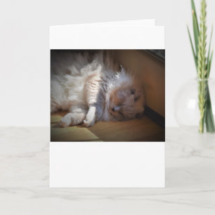 Dias Lentos, cartão