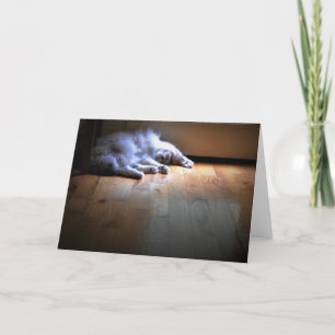 Dias Lentos, cartão