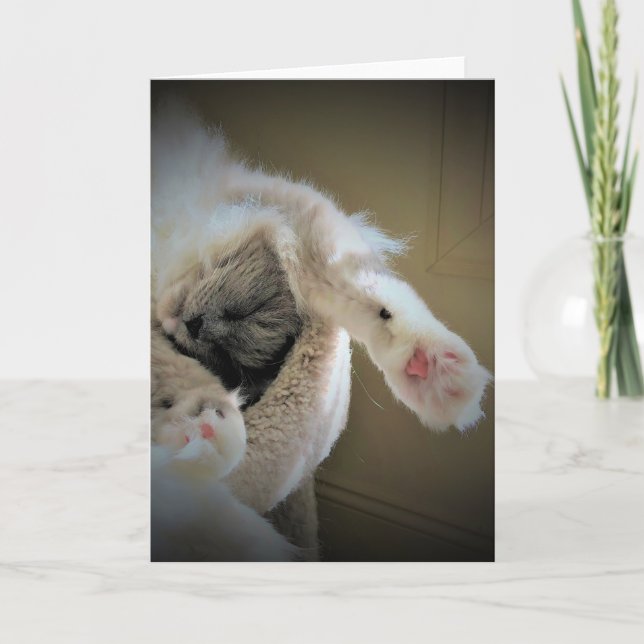 Dias Lentos, cartão (Frente)