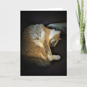 Dias Lentos, cartão