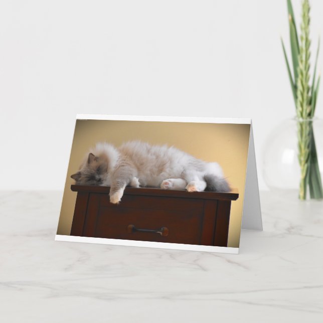 Dias Lentos, cartão (Frente)