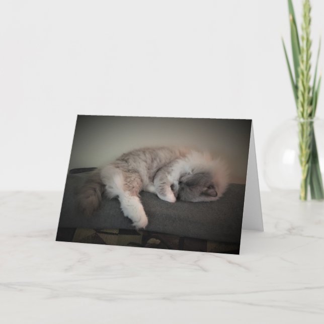 Dias Lentos, cartão (Frente)