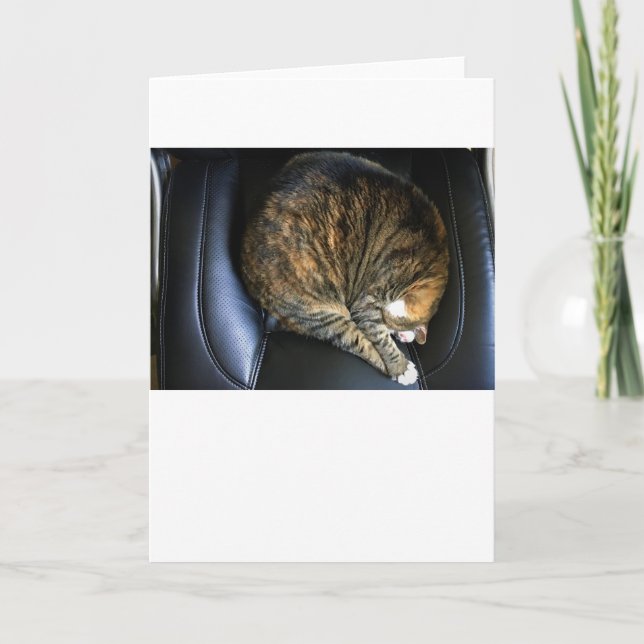 Dias Lentos, cartão (Frente)