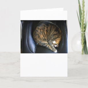 Dias Lentos, cartão