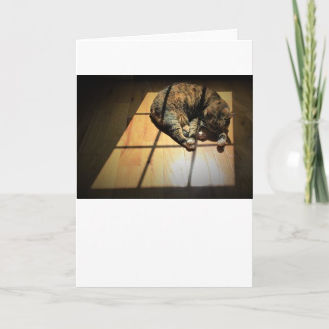 Dias Lentos, cartão (Frente)