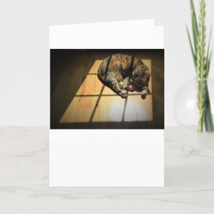 Dias Lentos, cartão