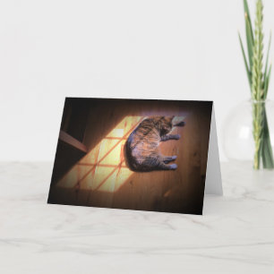 Dias Lentos, cartão