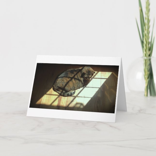 Dias Lentos, cartão (Frente)