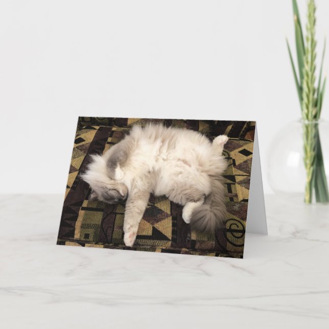 Dias Lentos, cartão (Frente)