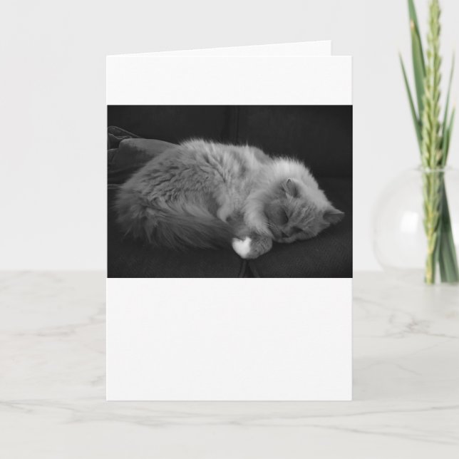 Dias Lentos, cartão (Frente)