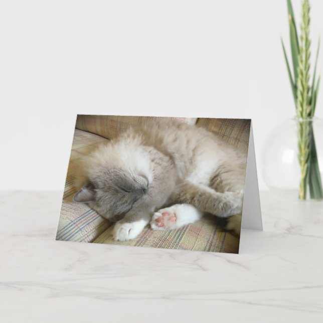 Dias Lentos, cartão (Frente)