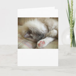 Dias Lentos, cartão