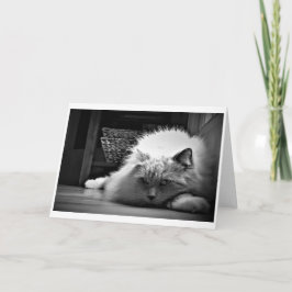 Dias Lentos, cartão