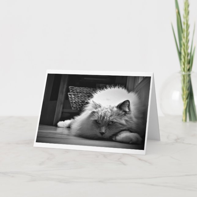 Dias Lentos, cartão (Frente)