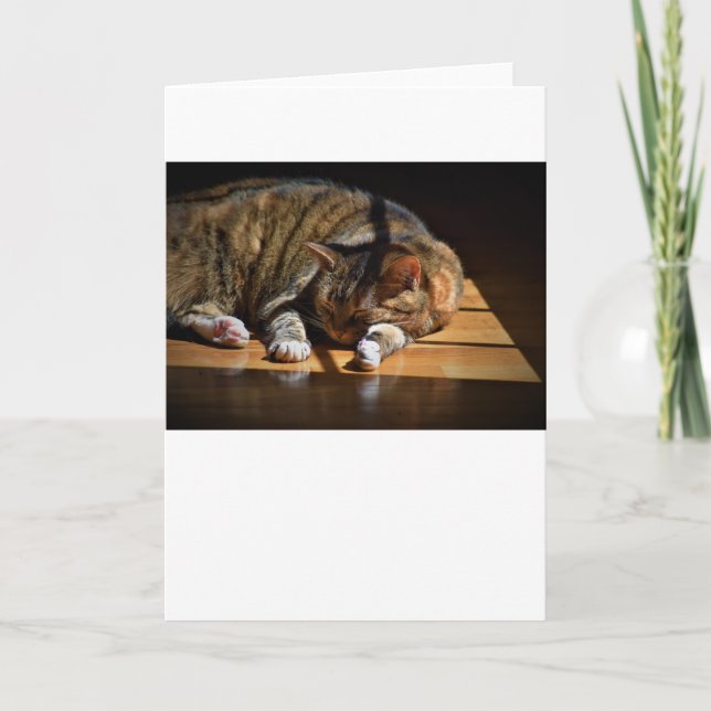 Dias Lentos, cartão (Frente)