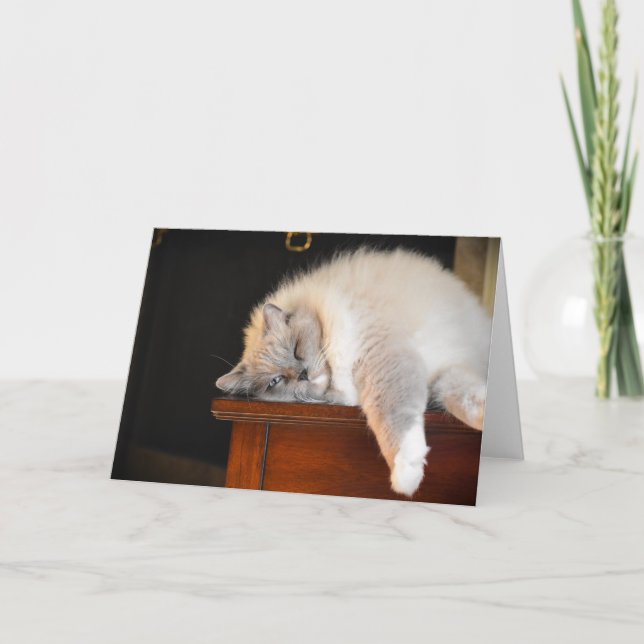 Dias Lentos, cartão (Frente)