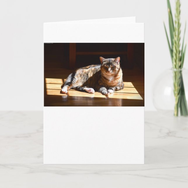 Dias Lentos, cartão (Frente)