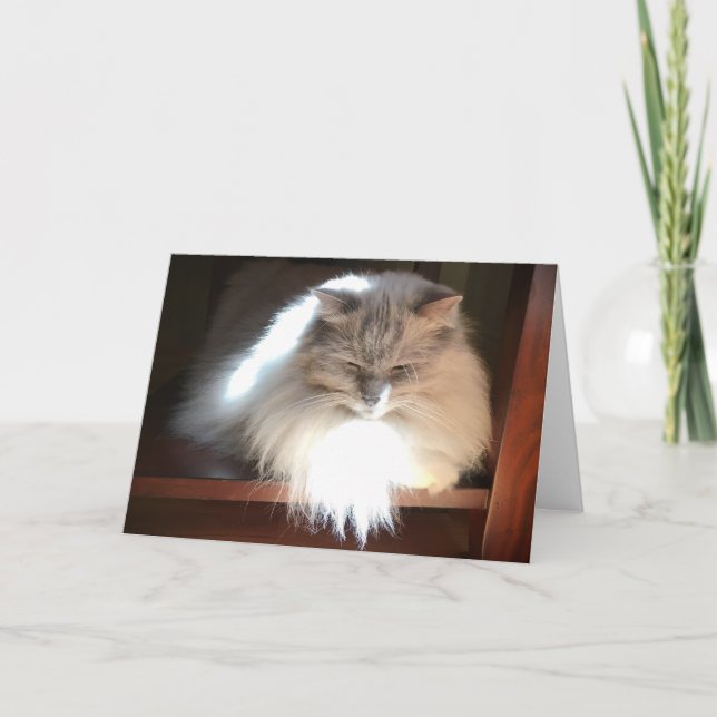 Dias Lentos, cartão (Frente)