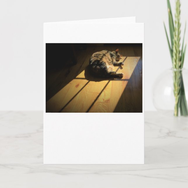 Dias Lentos, cartão (Frente)