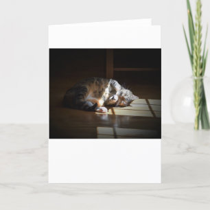 Dias Lentos, cartão