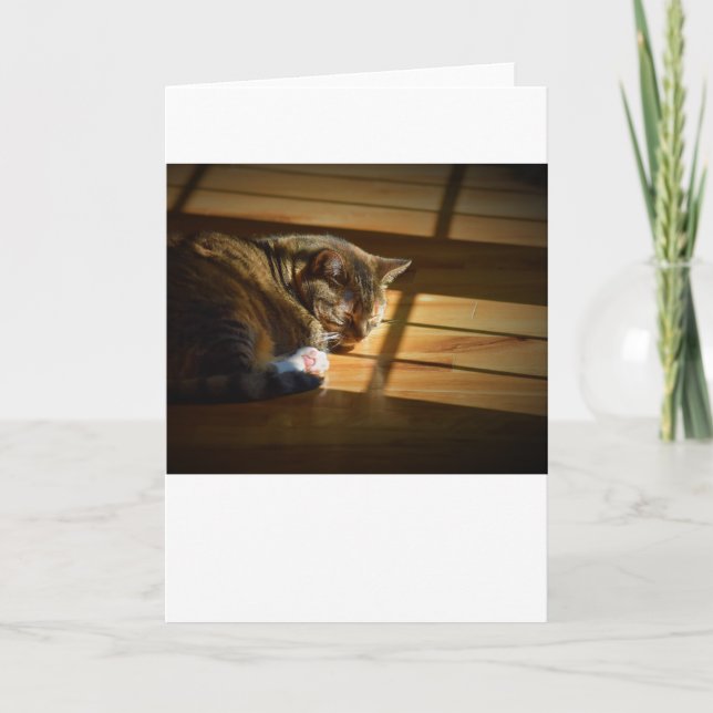 Dias Lentos, cartão (Frente)