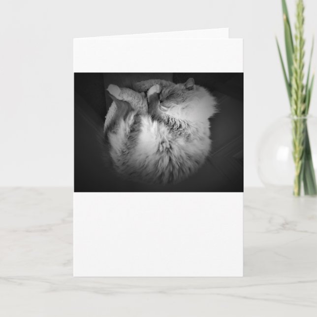 Dias Lentos, cartão (Frente)