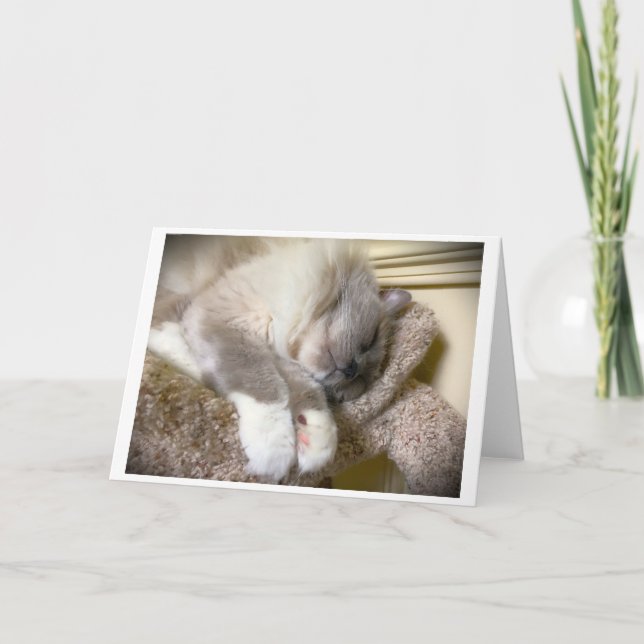 Dias Lentos, cartão (Frente)