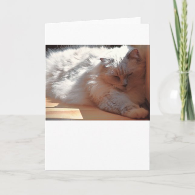 Dias Lentos, cartão (Frente)