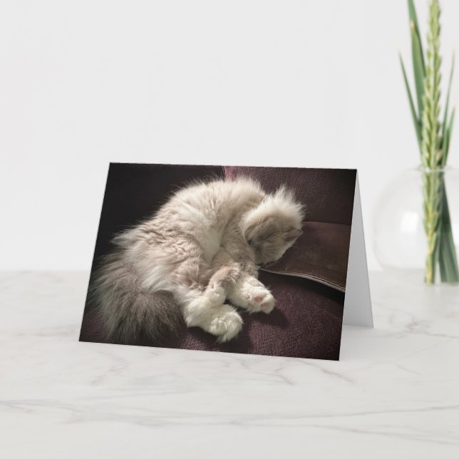 Dias Lentos, cartão (Frente)