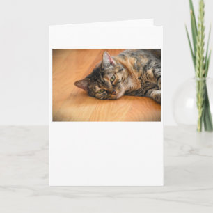 Dias Lentos, cartão