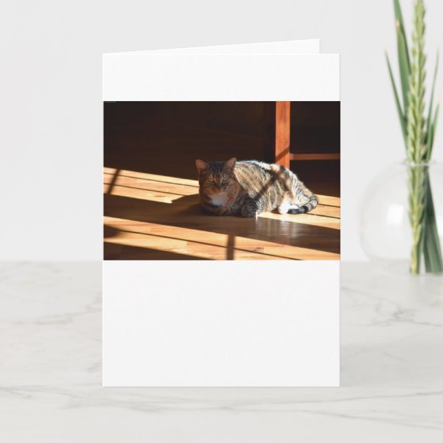 Dias Lentos, cartão (Frente)