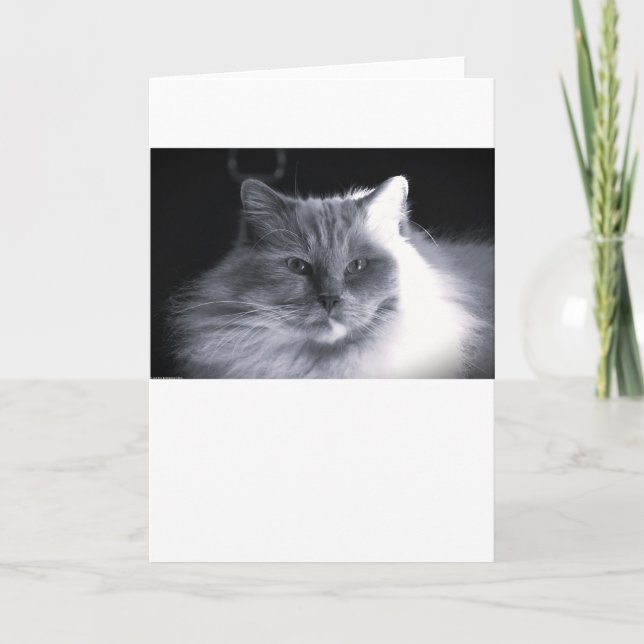 Dias Lentos, cartão (Frente)