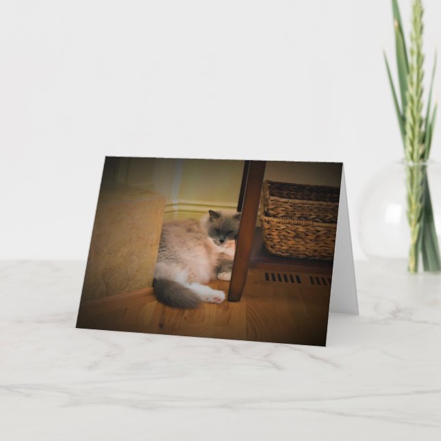 Dias Lentos, cartão (Frente)