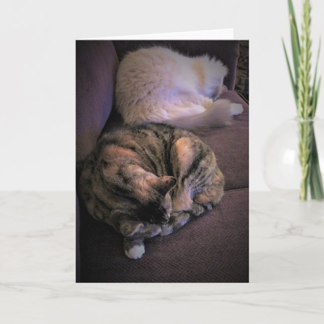 Dias Lentos, cartão (Frente)