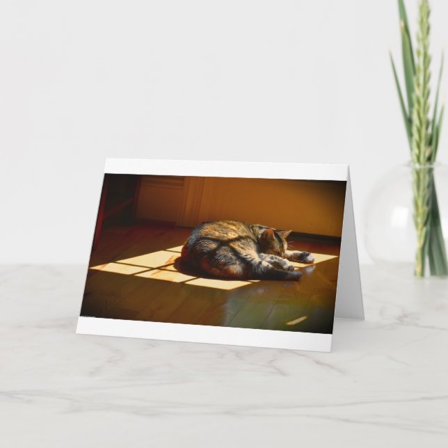 Dias Lentos, cartão (Frente)