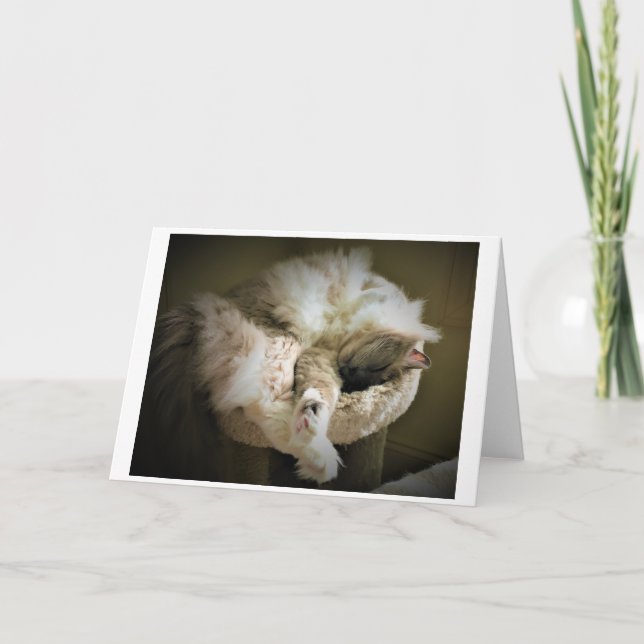 Dias Lentos, cartão (Frente)