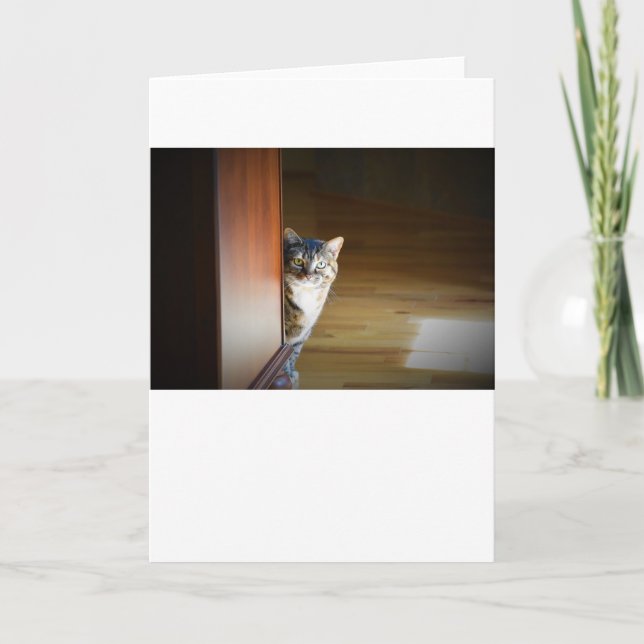 Dias Lentos, cartão (Frente)