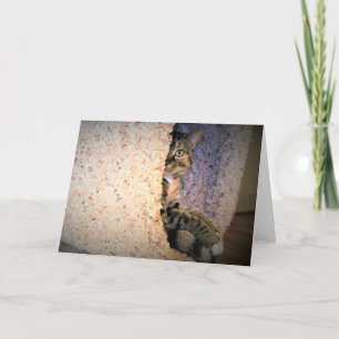 Dias Lentos, cartão