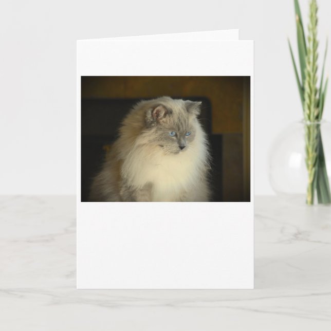 Dias Lentos, cartão (Frente)