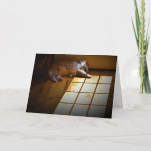 Dias Lentos, cartão