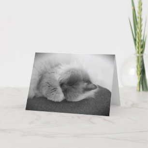 Dias Lentos, cartão