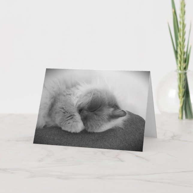 Dias Lentos, cartão (Frente)