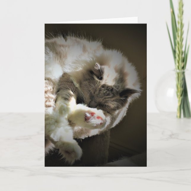 Dias Lentos, cartão (Frente)