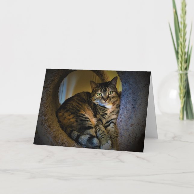 Dias Lentos, cartão (Frente)